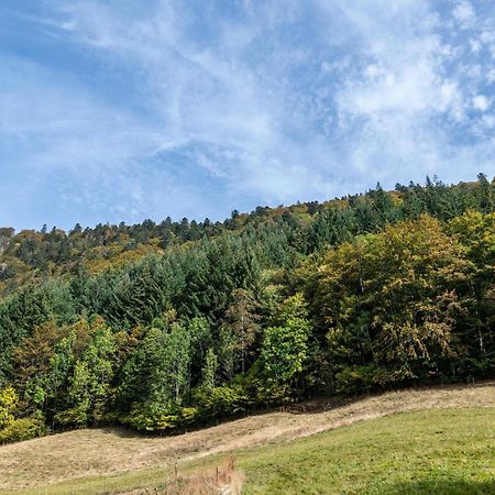 Gasthaus Zur Linde- Napf أوبيريد المظهر الخارجي الصورة