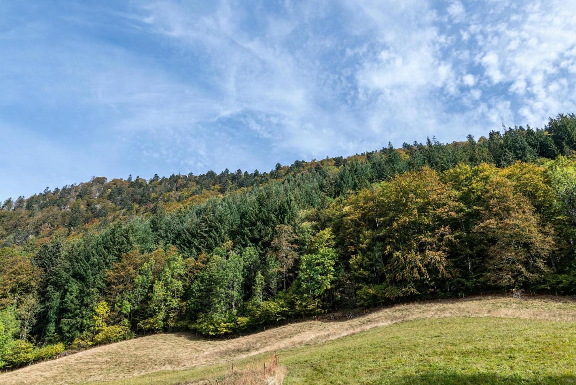 Gasthaus Zur Linde- Napf أوبيريد المظهر الخارجي الصورة