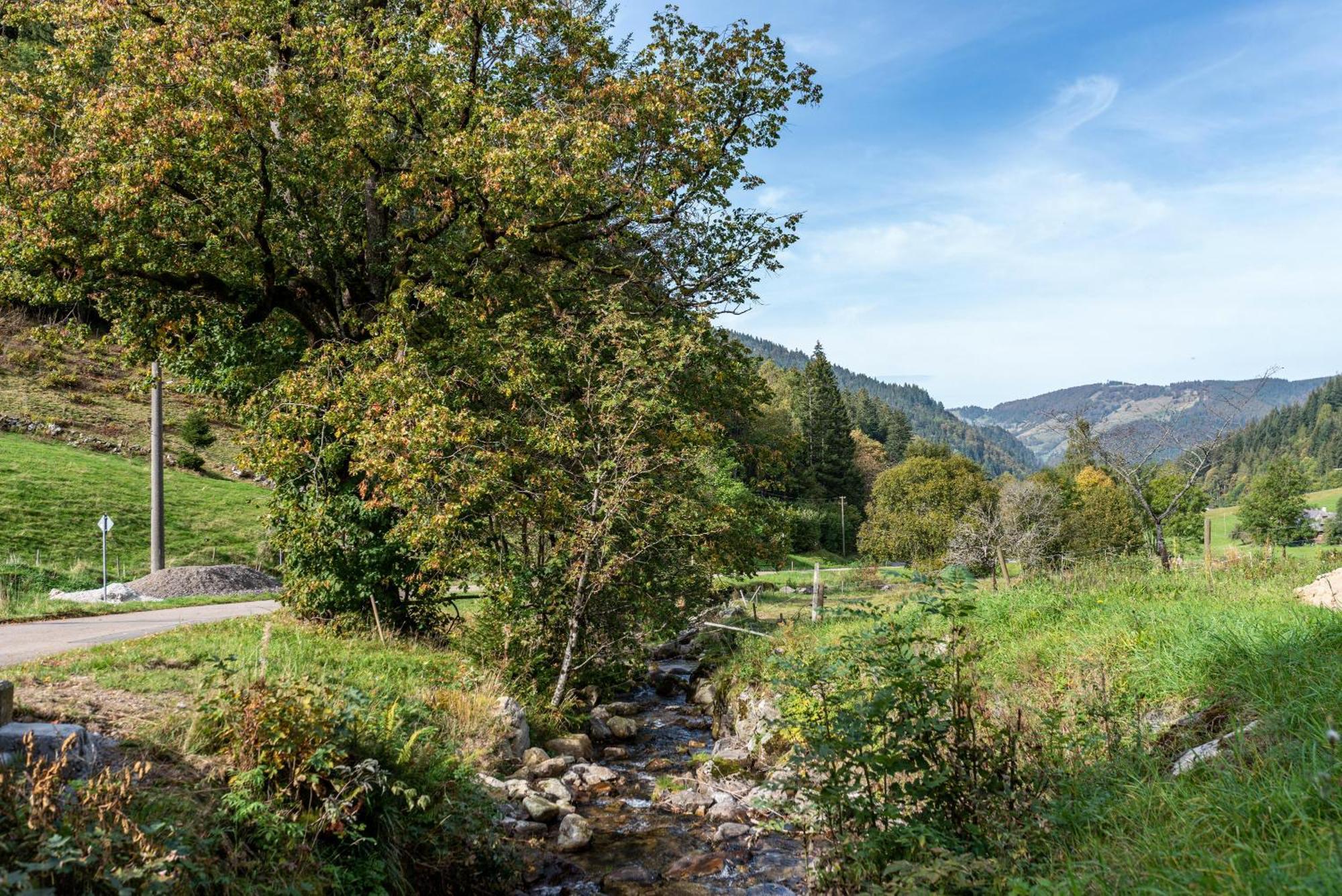 Gasthaus Zur Linde- Napf أوبيريد المظهر الخارجي الصورة