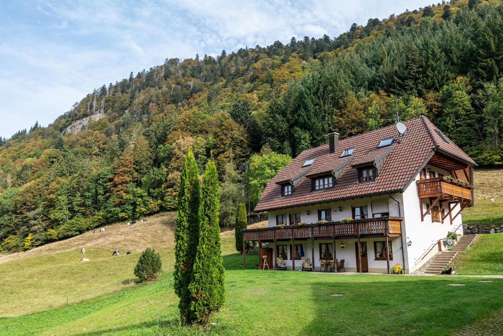 Gasthaus Zur Linde- Napf أوبيريد المظهر الخارجي الصورة